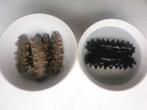 海参真正的有营养吗,海参有假的吗有人工制造的吗