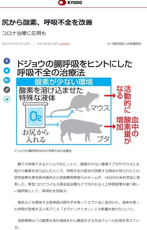 鏃ユ湰鏁欐巿鍋氱殑瀹為獙,鏃ユ湰鏁欐巿瀹為獙