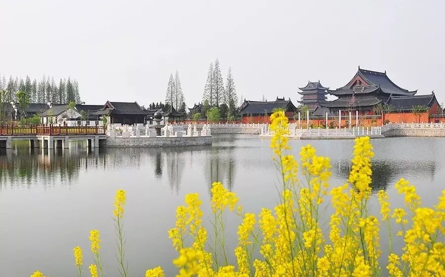 沪媒将连云港市称为长三角城市：上海市vs徐州市，有前厅后院之争