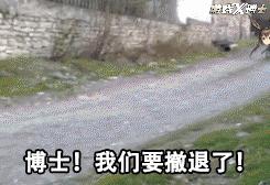 任天堂出现问题,任天堂的基本情况