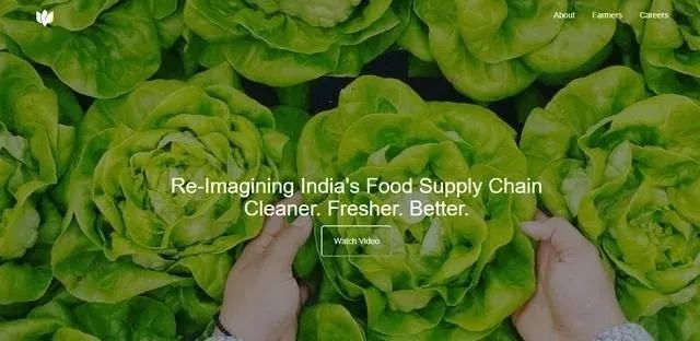 沙漠蝗防控方案,沙漠蝗灾如何防控