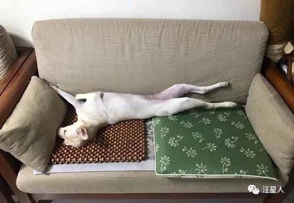 汪见镜头秒伸“嫩白大长腿”摆拍，网友见私密巧思：很懂遮呀