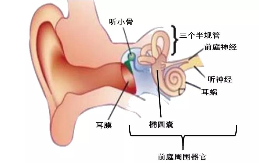 眩晕治疗方案选择什么药物,治疗各种眩晕的症状中成药