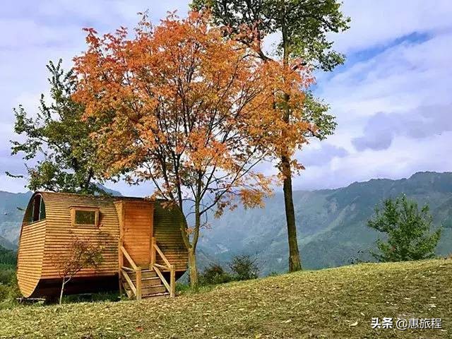 成都红枫打卡地,川西红枫岭团购