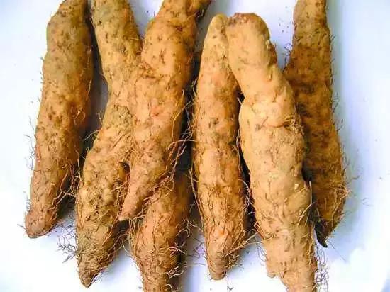 为什么去潮汕旅游很少去揭阳,潮阳旅游好推荐