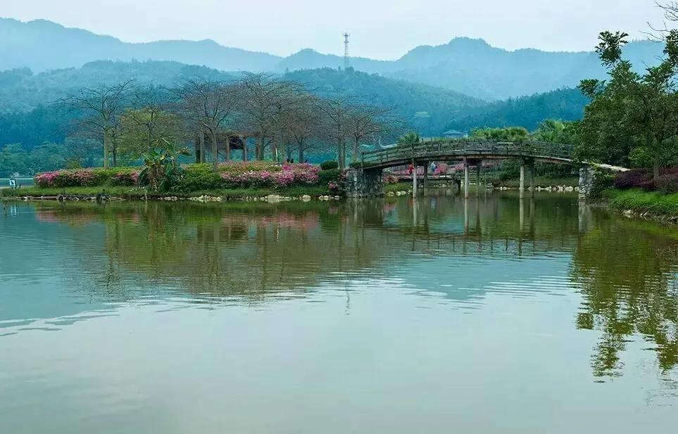 一碗粥的争吵,一锅粥完整句