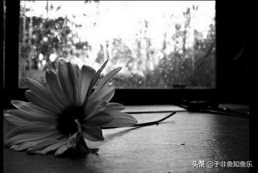 儿女婚姻不顺做父母的该怎么办,针对油盐不进的女人怎么办