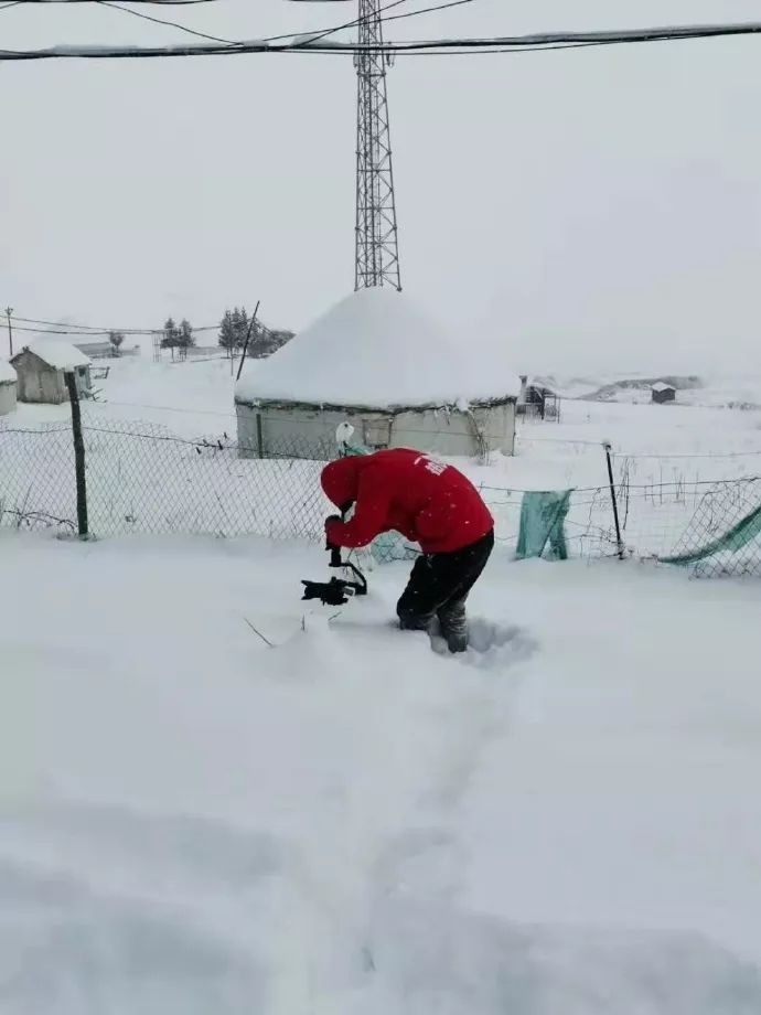 一场冰雪奇缘的视频,一场真正的冰雪奇缘视频