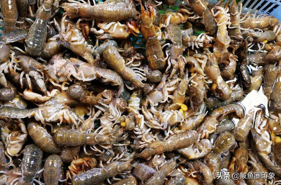 辽宁九月好去处,九月辽宁旅游推荐