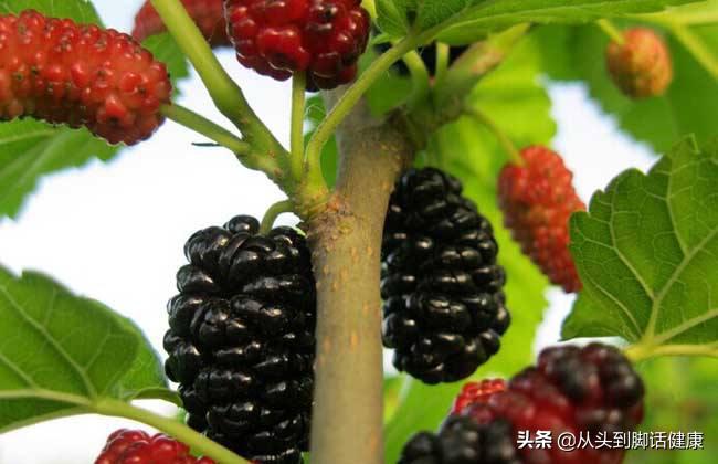 10人9痔，苦不堪言！如何解决长期便秘，痔疮，便血呢？