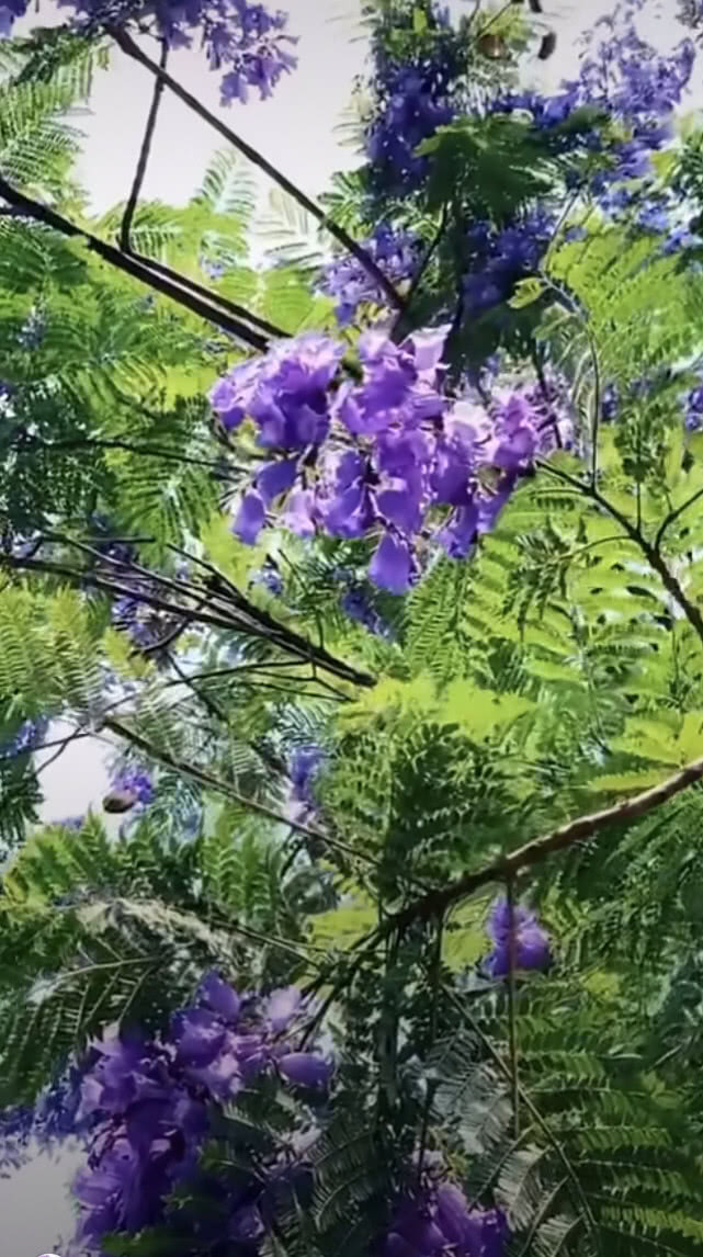 公公吵架骂儿媳妇怎么办,小两口吵架公公应怎样安慰儿媳妇