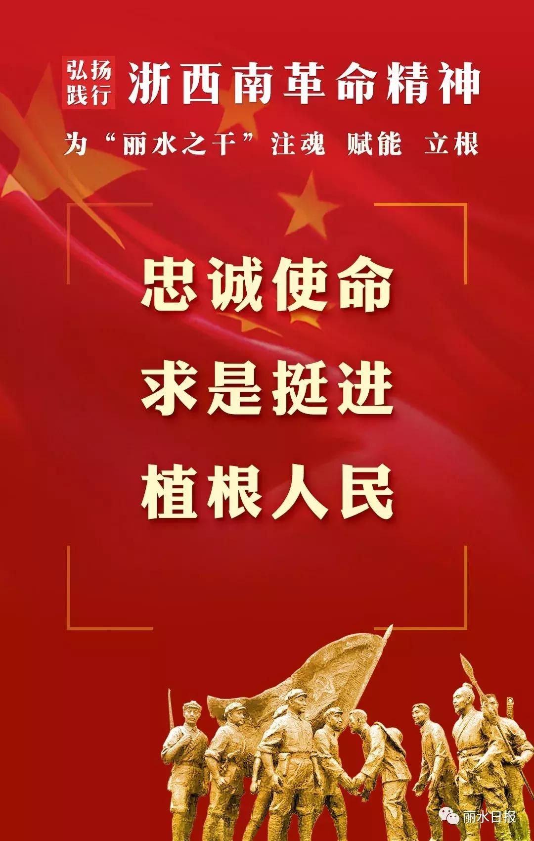 红色新丽水,红色浙西南央视