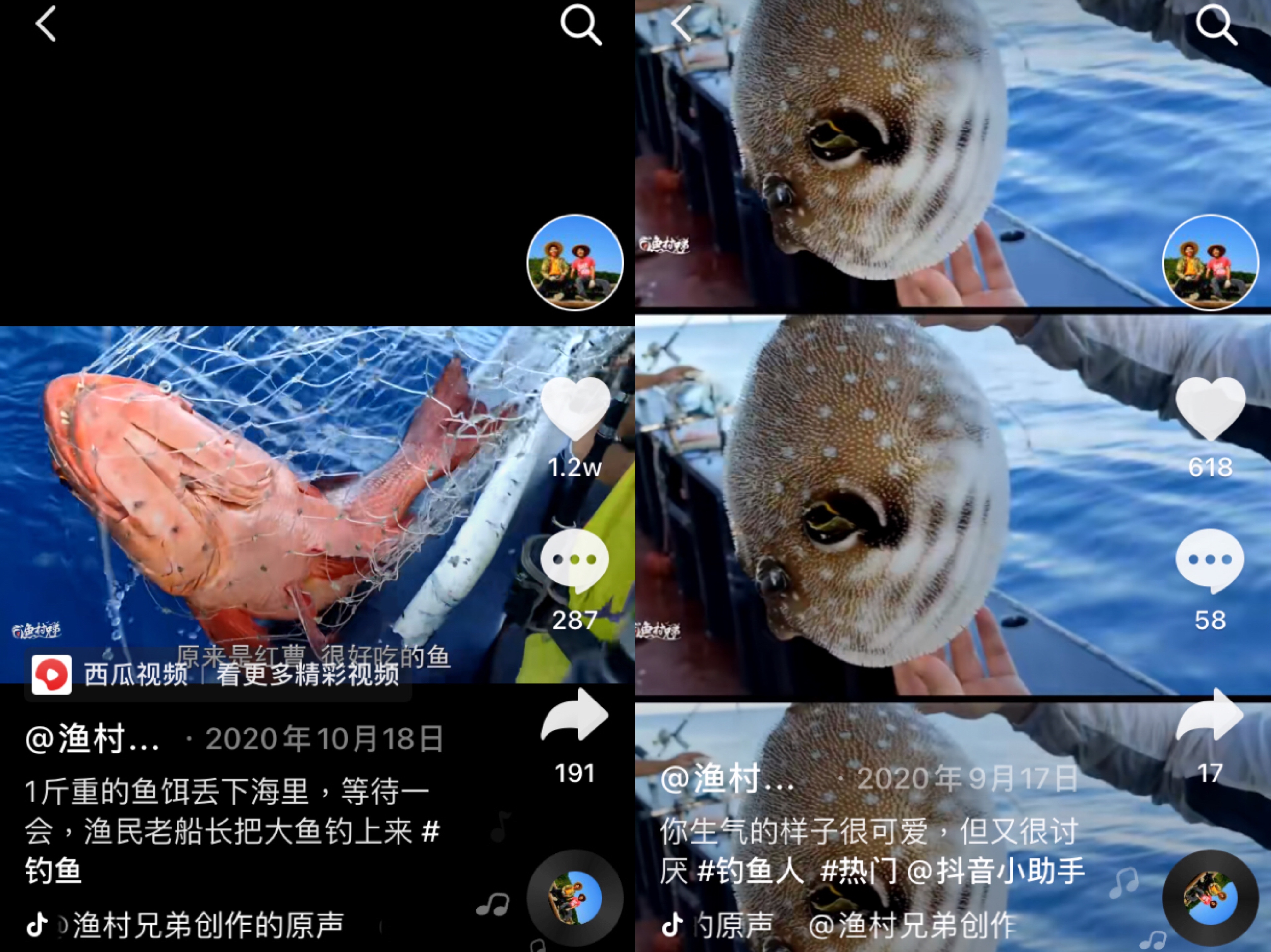 “乘风破浪”的渔村小哥哥海钓直播卖鱼，网友：刺身界的盲盒