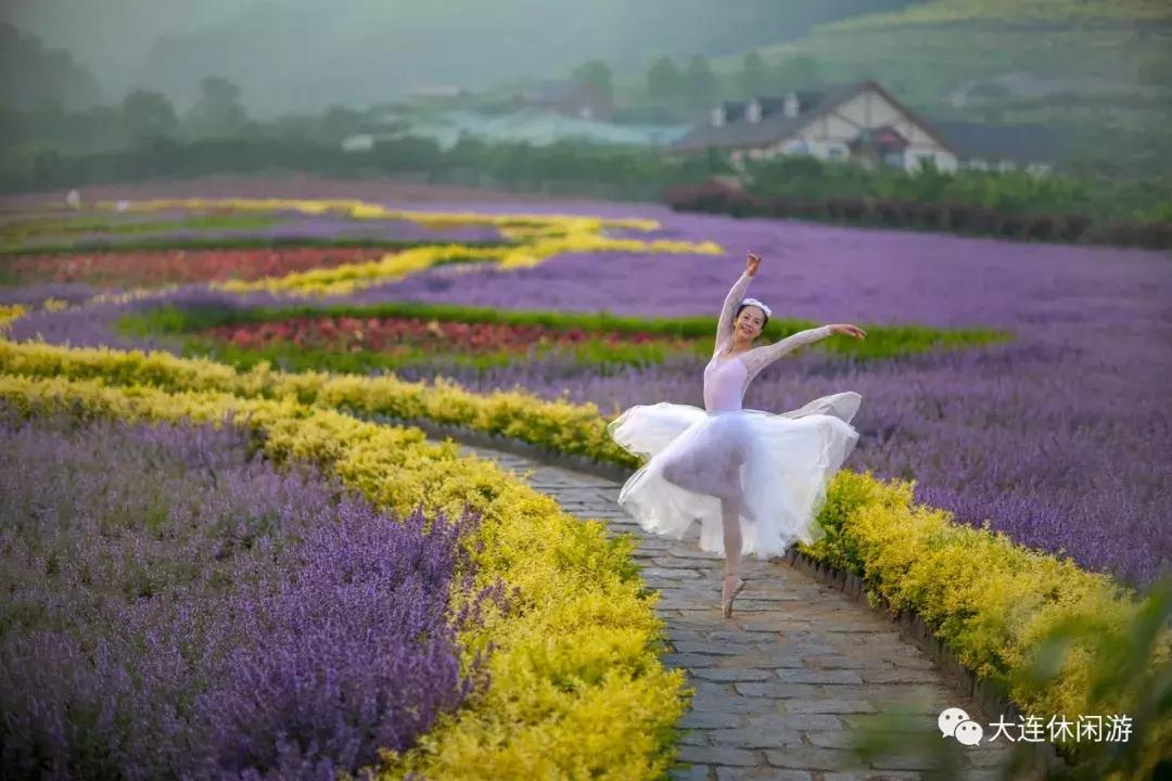 大连西山公园花海,大连郁金香花海
