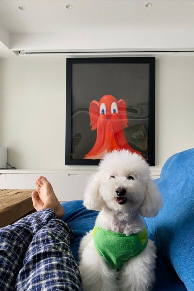 狗生巅峰！陈伟霆家狗狗被抱着睡住湖景豪宅，宋茜家宠物猪更时髦