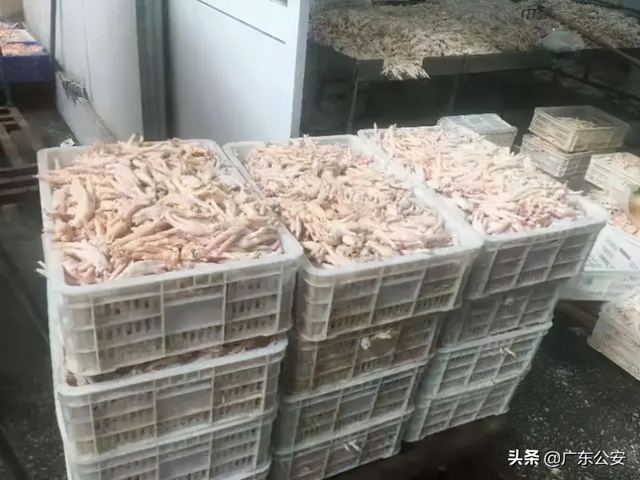 吃完火龙果后千万不要碰这几种,吃完火龙果千万别吃这三种