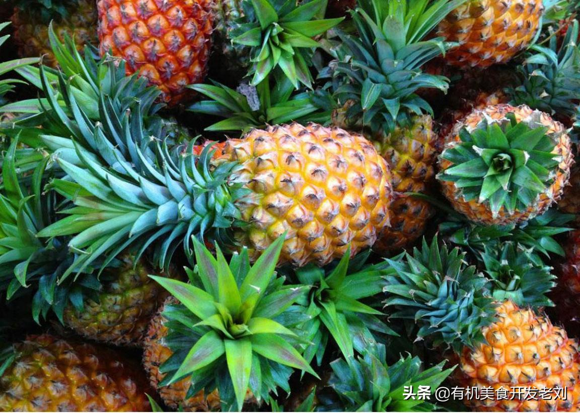 怎样挑选凤梨最好吃,凤梨怎么挑选才是正确的