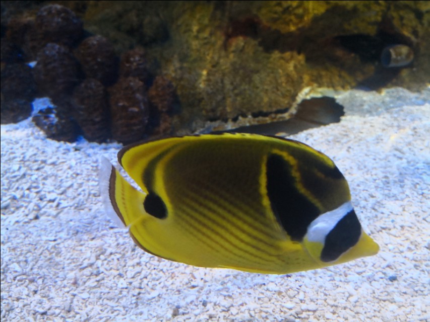 北京工体富国海底世界周一营业,北京工体富国海底世界旅馆