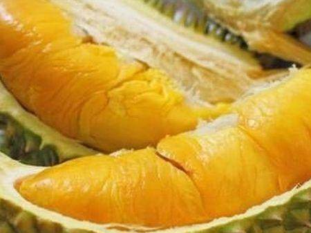 为什么有人觉得榴莲臭有人觉得香,榴莲好吃吗好不好