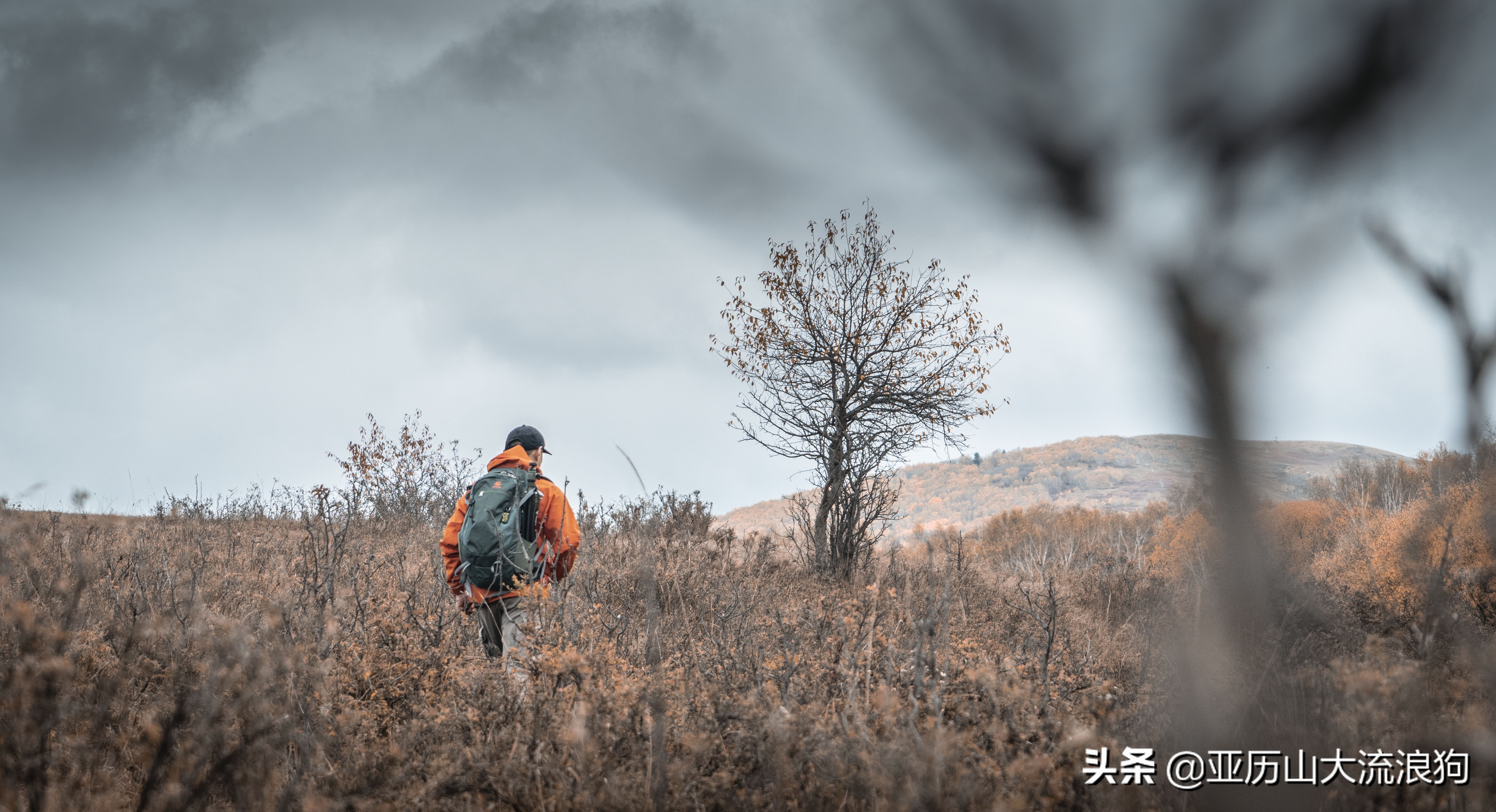 你那秋天来了吗？我这反正颜料泼了一地——内蒙古黄岗梁穿越之旅