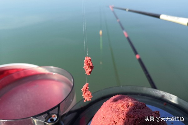 野钓窝里鱼星很多不吃钩怎么办,七星漂上鱼怎么防止炸窝