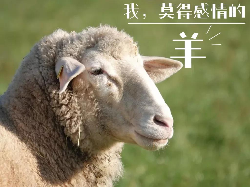 组织缝合技术教学,间断缝合完整流程教学