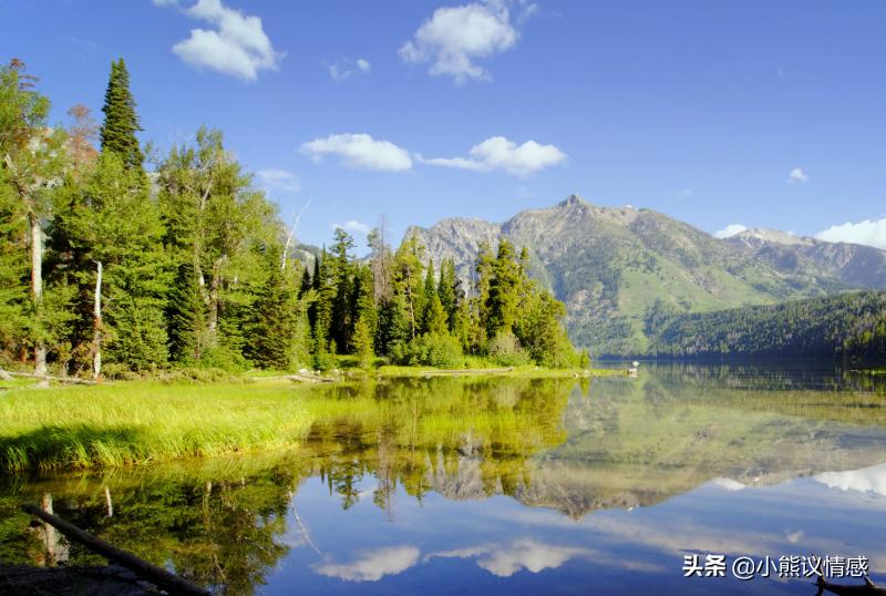 能让人互动起来的事情,能让人产生共鸣的人