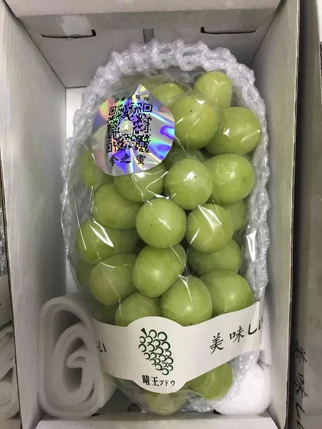 阳光玫瑰网红水果,阳光玫瑰水果视频