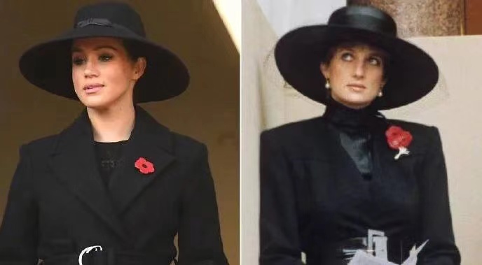 梅根和哈里的这种巨大反差,梅根哈里命运预测