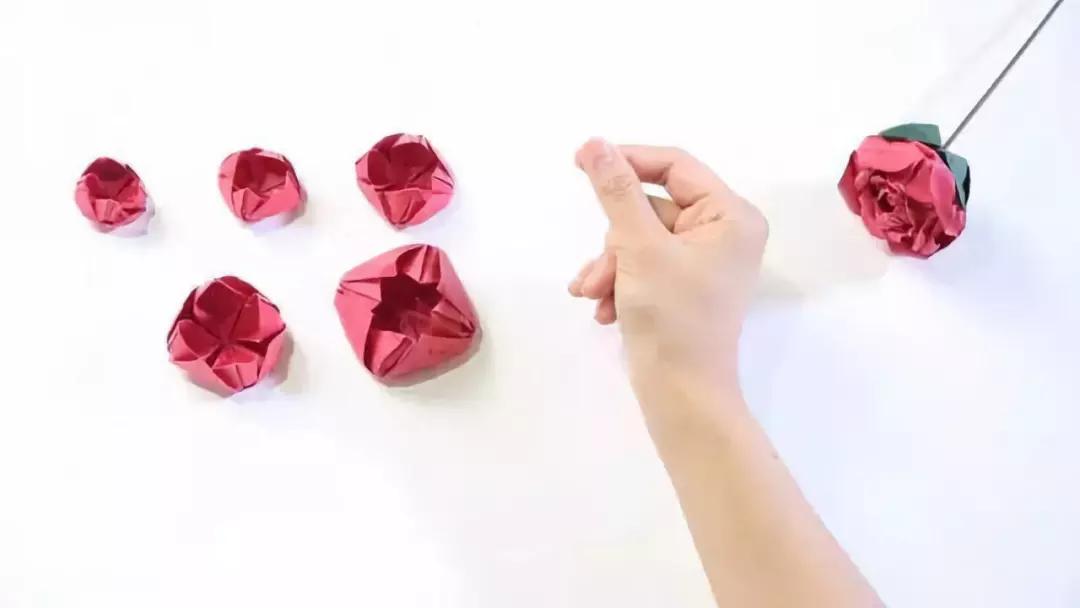 有颜色的玫瑰是怎么做出来的,白玫瑰怎么做七彩玫瑰