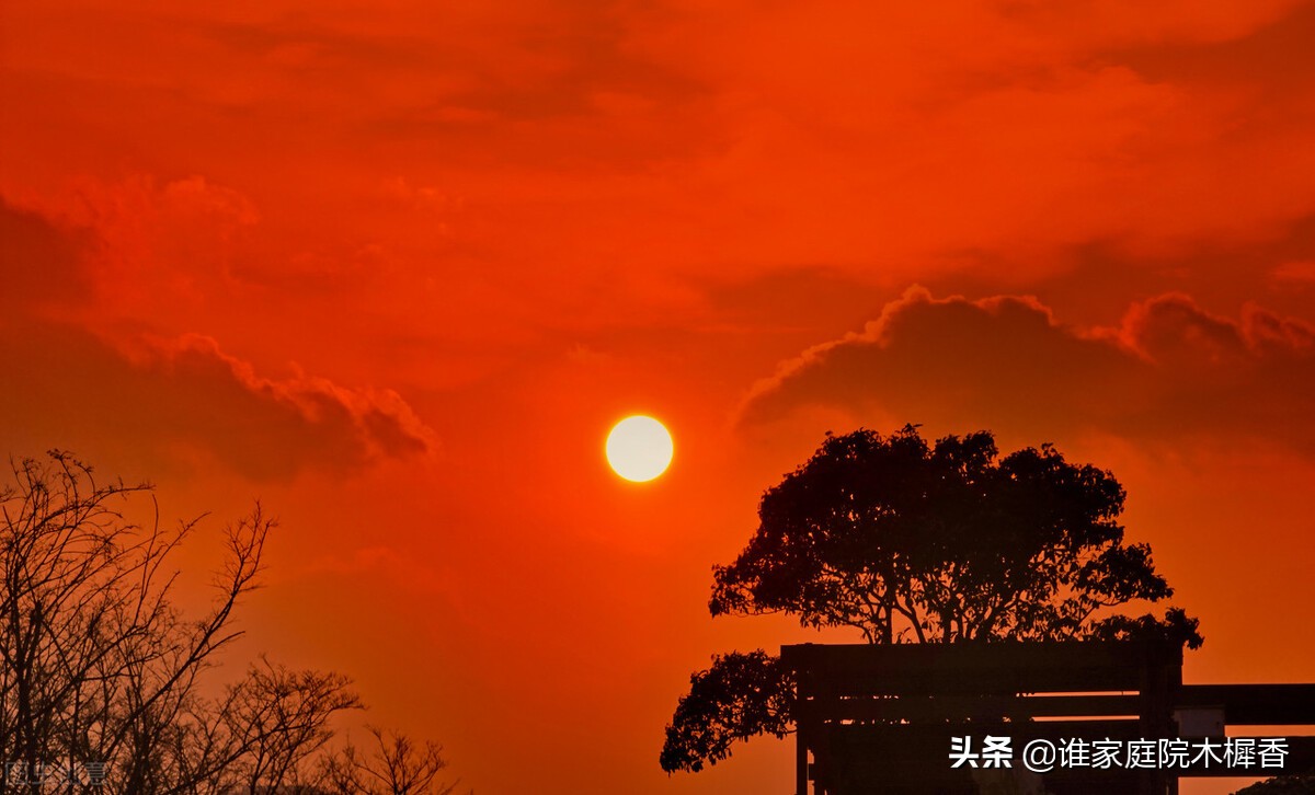 陆游八十一岁写下一首深情的诗,陆游闲居山阴在哪里