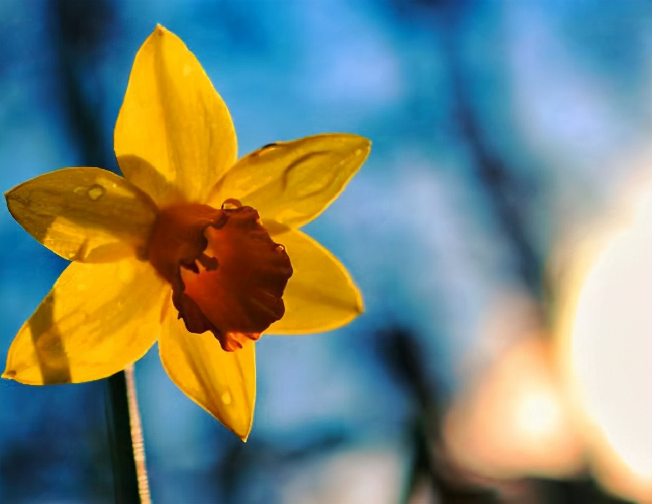 断联又联系了怎么办,断联后如何激发男人主动复合