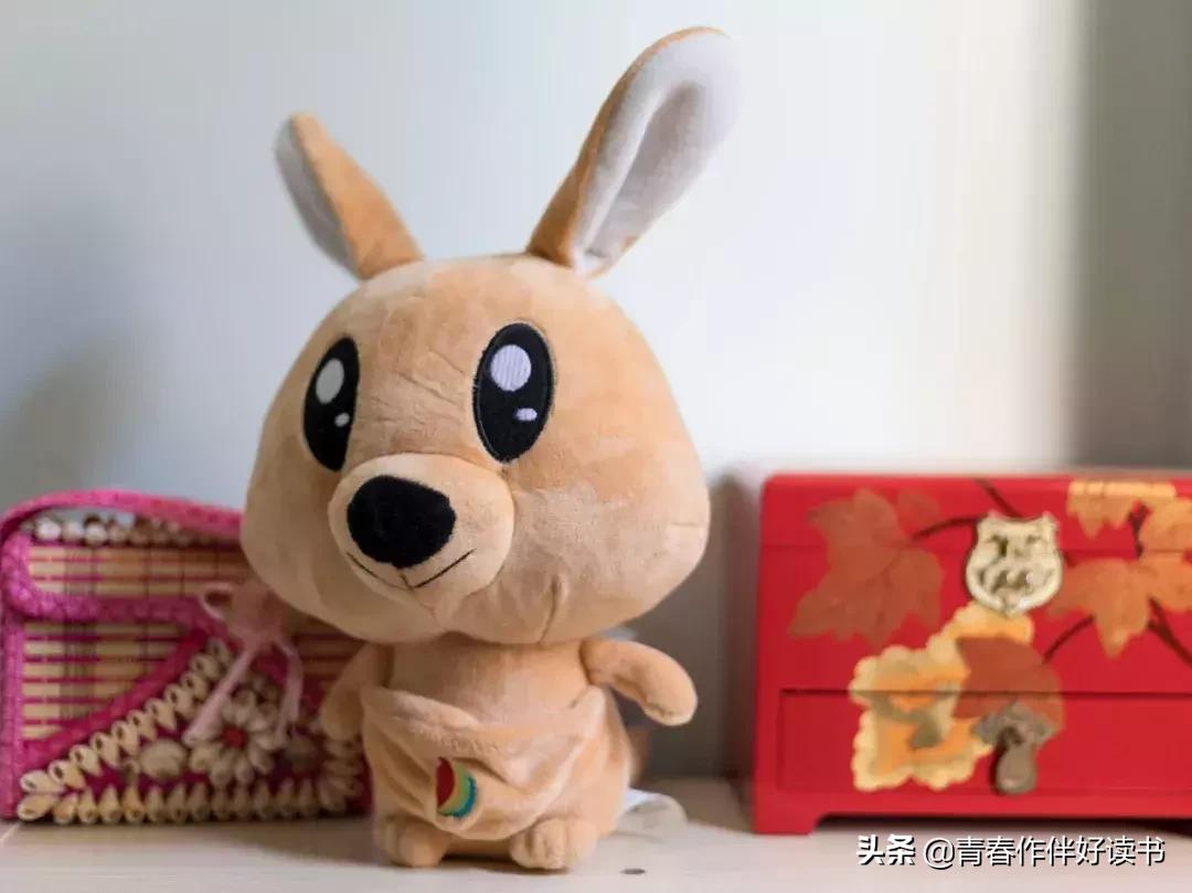 50mm定焦小痰盂,50定焦镜头小痰盂