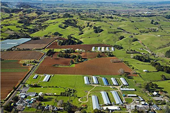 华人可以在马来西亚买地吗,新西兰允许中国人购买土地吗