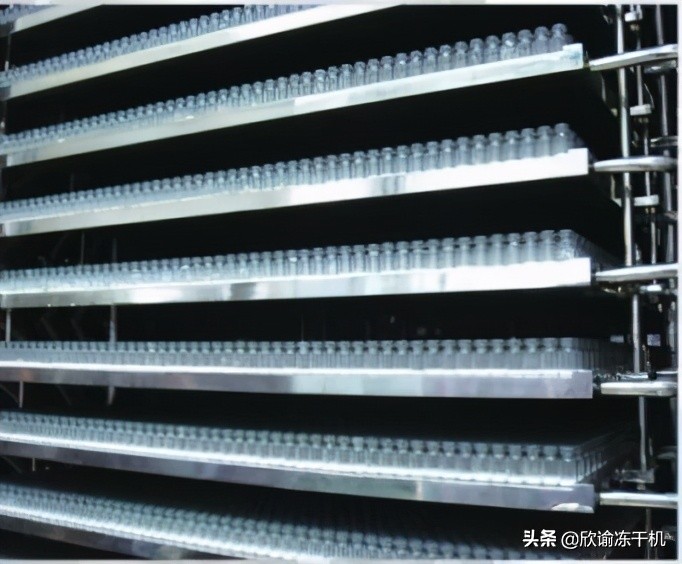 真空冷冻干燥机原理及结构图,真空冷冻干燥机原理