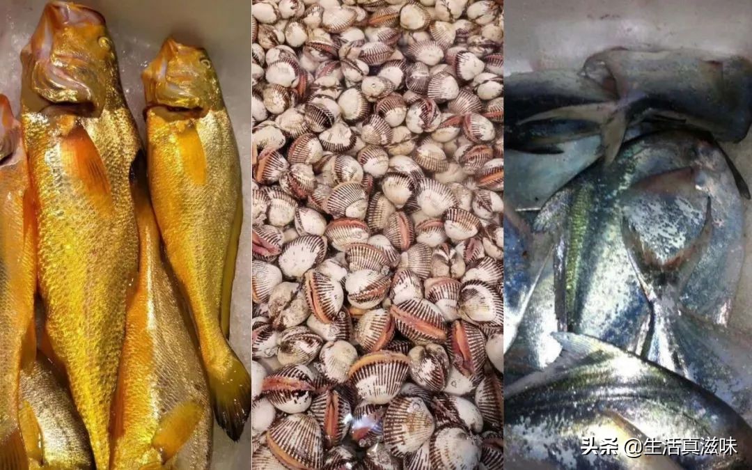 宁波人一天吃什么,宁波一个人吃的美食