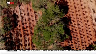 世卫都喊停了，为什么巴西印度还要用特朗普力荐的“神药”救命