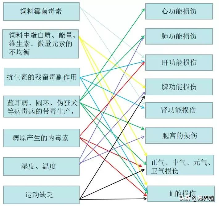 母猪亚健康怎么调理,母猪亚健康的治疗
