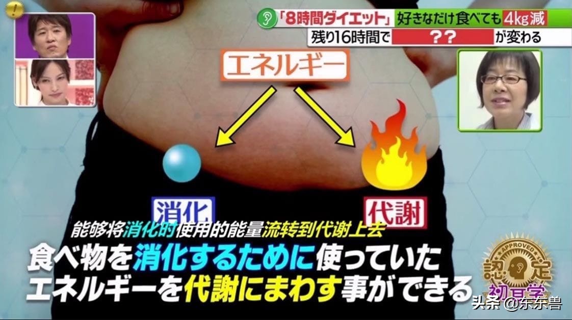 最火的五日减肥法靠不靠谱,no.16