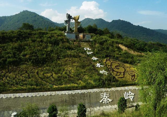 被毒蛇咬了能把蛇打死吗,被毒蛇咬了毒蛇的蛇胆解毒吗