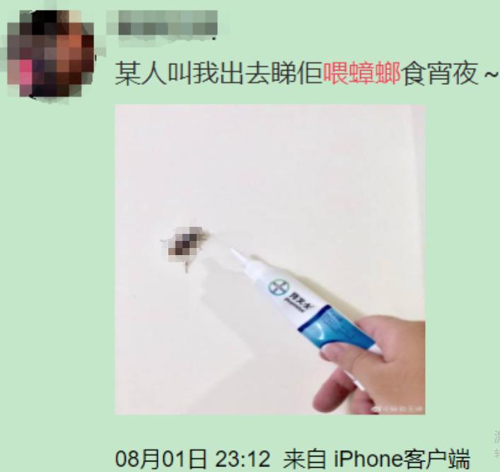 南方蟑螂和北方蟑螂对比恶搞,南方大蟑螂吓哭北方人