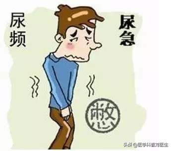 如何关注男性健康,关注男性健康养生