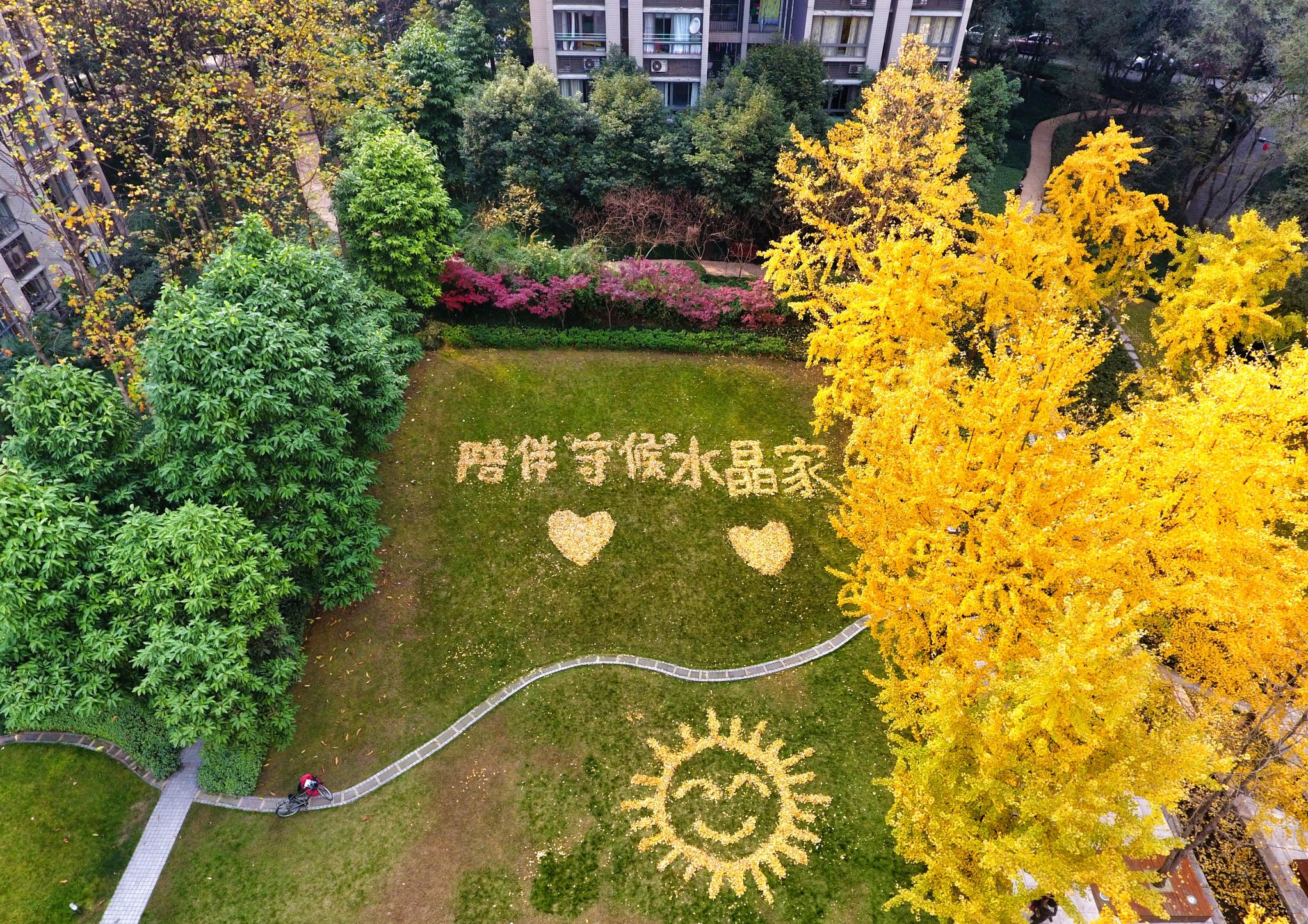 龙湖智慧服务的智慧体系有哪些,龙湖智慧服务社区