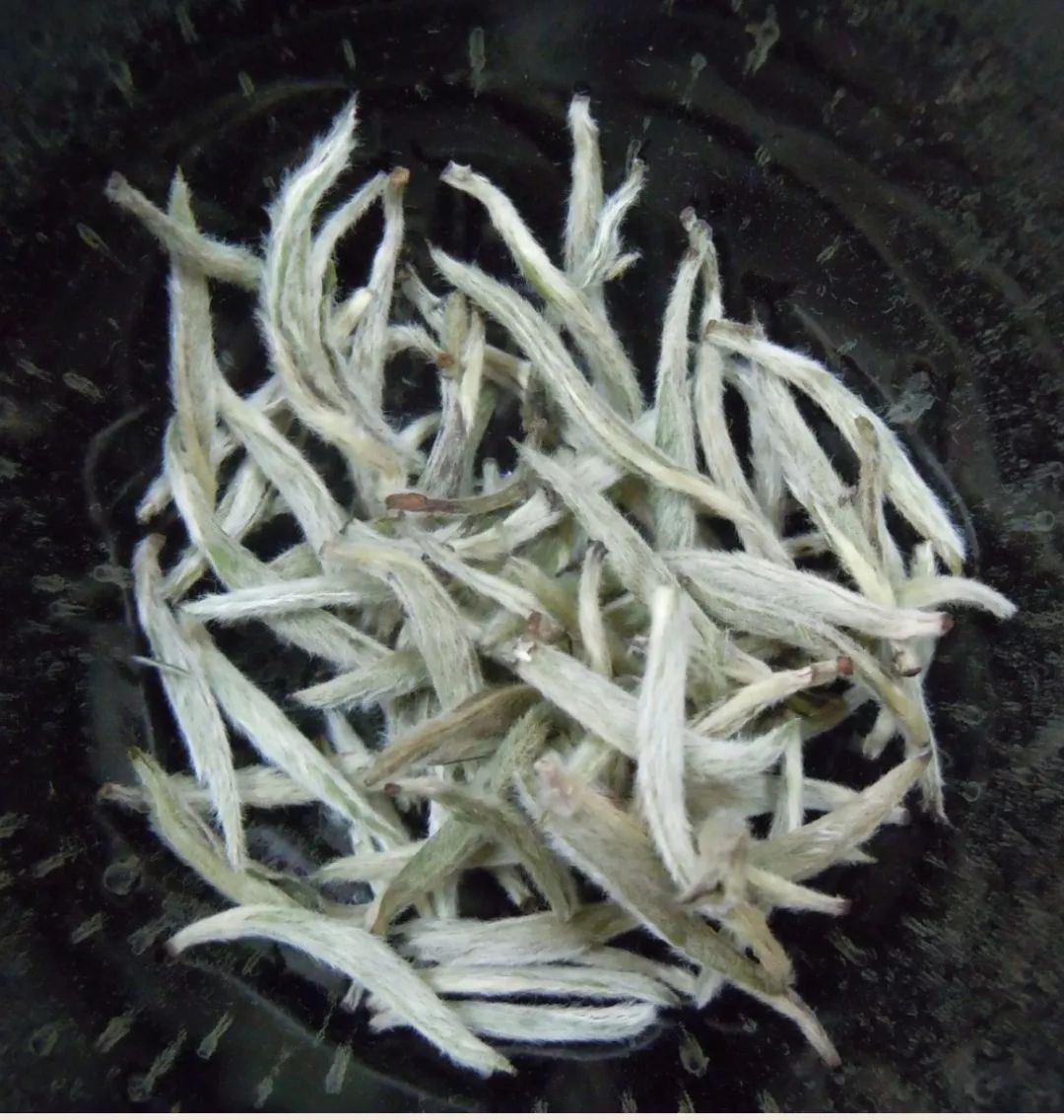 用茶言茶语说我爱你,能用520种语言说我爱你