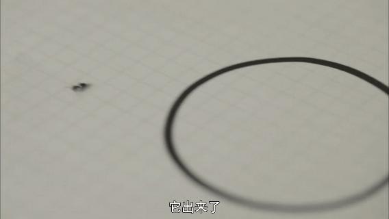 像乌鸦一样思考20集完整版中文,像乌鸦一样思考纪录片全集国语版