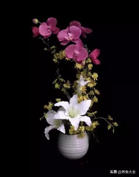 世界名贵花图片大全集,世界上最漂亮名贵的花卉