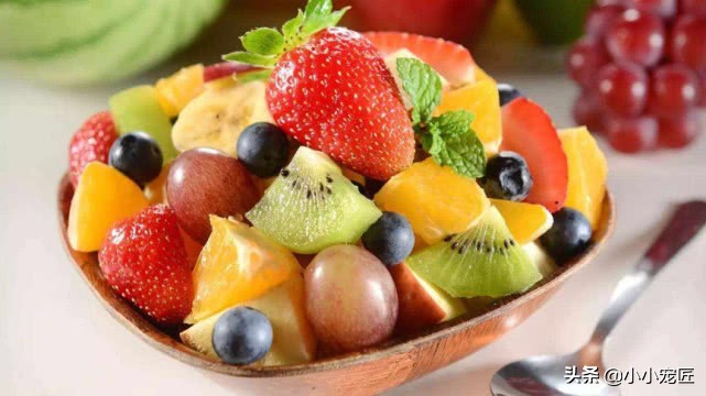 长期给猫吃过多的食物会怎样,这些东西千万不要给牛吃