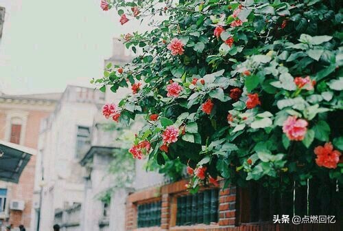 修心不在“上达”而在“下学”，历人世百态，炼心志坚！