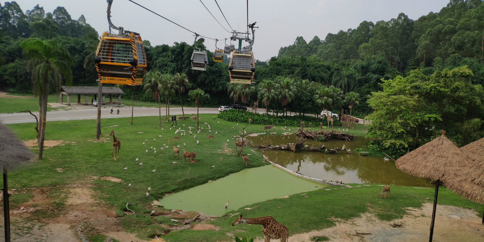 广州长隆四大园区游玩攻略,广州长隆两大两小最全游玩攻略