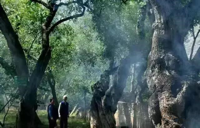 榆林网红打卡地生态公园,榆林十大网红打卡地